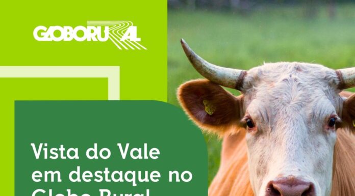 VISTA DO VALE É DESTAQUE NO GLOBO RURAL E LEVA O NOME DA BAHIA AO CENÁRIO NACIONAL