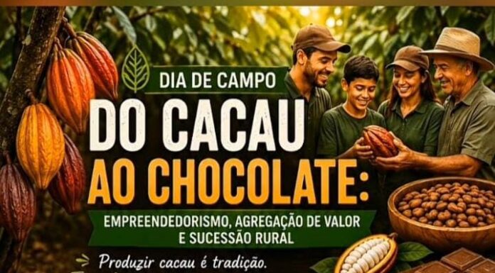 Dia de Campo em Itororó destaca caminhos do cacau ao chocolate e novas oportunidades para o produtor rural